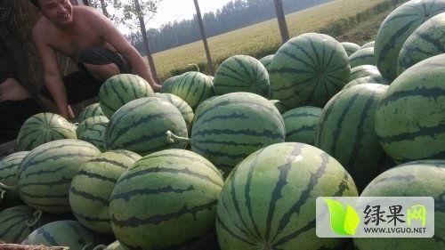 吃瓜最新事件爆料菏泽,揭秘背后惊人真相  第3张 吃瓜最新事件爆料菏泽,揭秘背后惊人真相  第3张