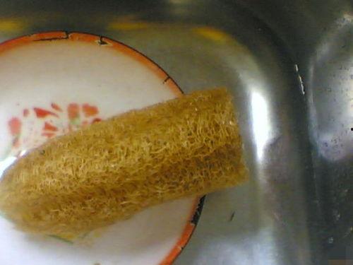 吃瓜厨房洗碗的网红,揭秘厨房清洁背后的辛酸与欢乐  第2张 吃瓜厨房洗碗的网红,揭秘厨房清洁背后的辛酸与欢乐  第2张