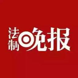 太阳雨爆料新闻,揭秘娱乐圈惊天大事件  第2张