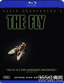 变蝇人在线观看,穿越时空的惊悚之旅  第3张 变蝇人在线观看,穿越时空的惊悚之旅  第3张